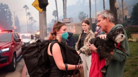 Vet took in brother’s pets during Palisades fire. Then she took in 39 more