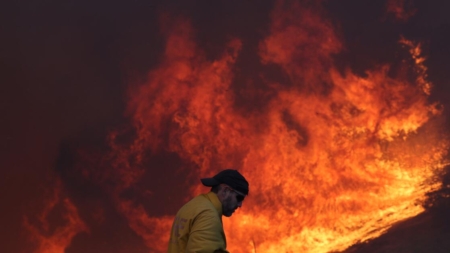 Commentary: Wildfires come with the wildness that draws us to Los Angeles