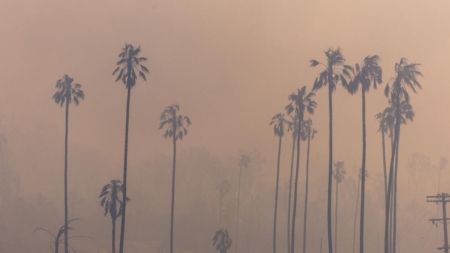 How to protect yourself from the smoke caused by L.A. wildfires