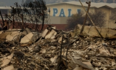 Insurance commissioner halts policy cancellations in fire zones