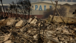 Insurance commissioner halts policy cancellations in fire zones