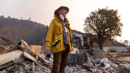 In the ruins of Palisades fire, confronting my elusive Malibu life