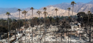 Late evacuation orders in Altadena: Could more lives have been spared?