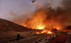 LAPD Has Suspect in Custody After Receiving Call About Possible Arson