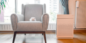 Boost your indoor air quality with the help of these nine products