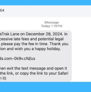 Fake toll road texts sweep America as Chinese scammers target US drivers