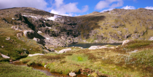 Missing Australian hiker found after surviving two weeks on muesli bars and berries