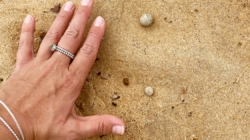 Sydney beaches shut once again over mysterious debris washed on shore