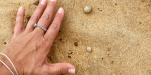 Sydney beaches shut once again over mysterious debris washed on shore