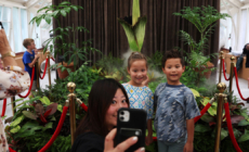 Visitors flock to see the ‘corpse flower’ in bloom