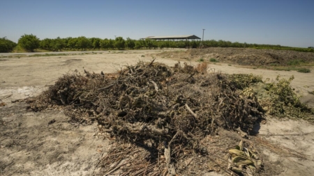 Near-complete ban on agricultural burning finally takes effect in San Joaquin Valley