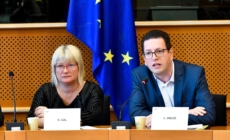 Two Hungarians to Head the EP Working Group on National Minorities