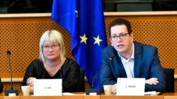 Two Hungarians to Head the EP Working Group on National Minorities