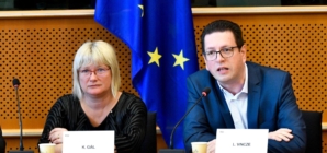 Two Hungarians to Head the EP Working Group on National Minorities