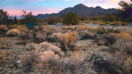 Biden to create 2 California national monuments protecting tribal land