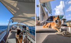 Couple Buy Boat as ‘Tiny Home,’ Sail the World Working Remotely With 3 Pets