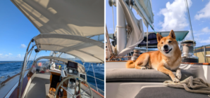 Couple Buy Boat as ‘Tiny Home,’ Sail the World Working Remotely With 3 Pets