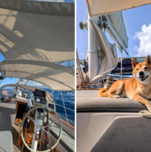 Couple Buy Boat as ‘Tiny Home,’ Sail the World Working Remotely With 3 Pets