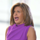 Hoda Kotb’s Emotional Unexpected Reunion on ‘Today’