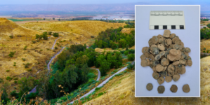 Treasure trove of 160 ancient coins found buried in kitchen