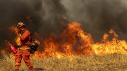 How you can help the incarcerated firefighters battling L.A. wildfires