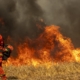 How you can help the incarcerated firefighters battling L.A. wildfires