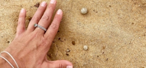 Sydney beaches closed to bathers balls of debris wash up