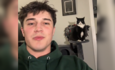 Proud Cat’s Dad Shows Off Unexpected Trick He Taught Her as a Kitten