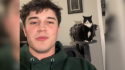 Proud Cat’s Dad Shows Off Unexpected Trick He Taught Her as a Kitten