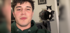 Proud Cat’s Dad Shows Off Unexpected Trick He Taught Her as a Kitten