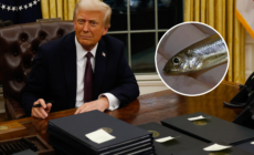 Trump Blames the Delta Smelt for Worsening LA Fires