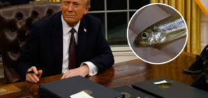 Trump Blames the Delta Smelt for Worsening LA Fires