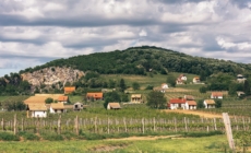 Villány Wine Region Is on the Rise