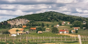 Villány Wine Region Is on the Rise