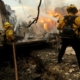 Wildfire victims file 4,400 claims with California’s FAIR Plan