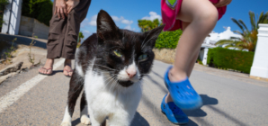 Tears at How Cat Who ‘Thinks He’s a Dog’ Looks Out for Children Every Day