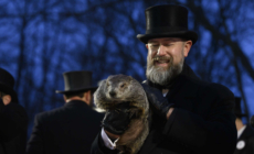 How to Livestream a Groundhog Today as He Predicts a Longer Winter or an Early Spring