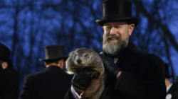 How to Livestream a Groundhog Today as He Predicts a Longer Winter or an Early Spring