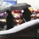 Ice Storm Forecast: Midwest and Northeast Face Dangerous Weather