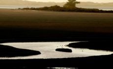 California bill would restore water protections for wetlands