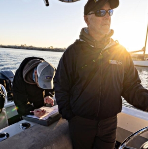 As baby great whites cruise SoCal shorelines, science finds little to fear