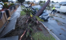 Damaging tornado travels a mile through Pico Rivera