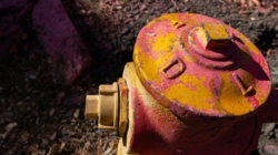 DWP has fixed vast majority of fire hydrants flagged for repairs last year