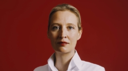 Alice Weidel doesn’t fit the profile of a far-right politician. The German AfD is willing to look past it.