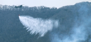 Japan fights a forest fire that has damaged dozens of homes and caused hundreds to evacuate