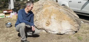 For 20 years, this school had no idea it owned a dinosaur fossil