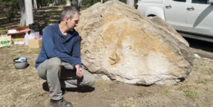 For 20 years, this school had no idea it owned a dinosaur fossil