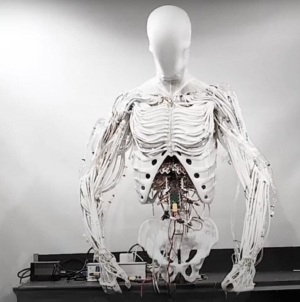 Creepy humanoid robot moves using 1,000 eerie artificial muscles