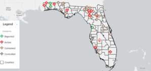 Florida Wildfire Map Shows Every Fire Burning