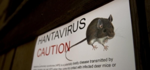 What is hantavirus, the rare disease that killed Betsy Arakawa?